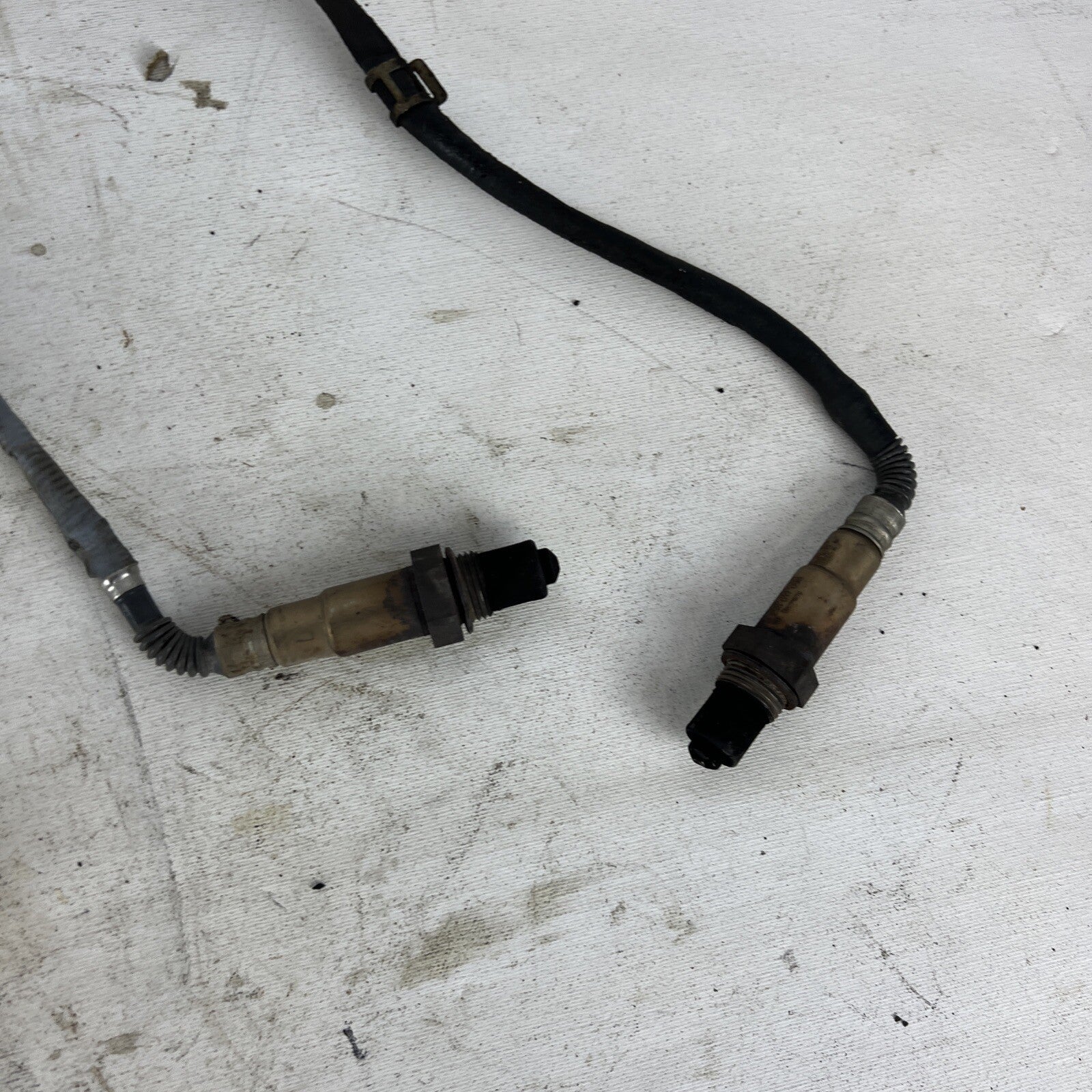 O2 OXYGEN LAMBDA SENSOR SET 4 PRE POST CAT BMW E90 330i OEM