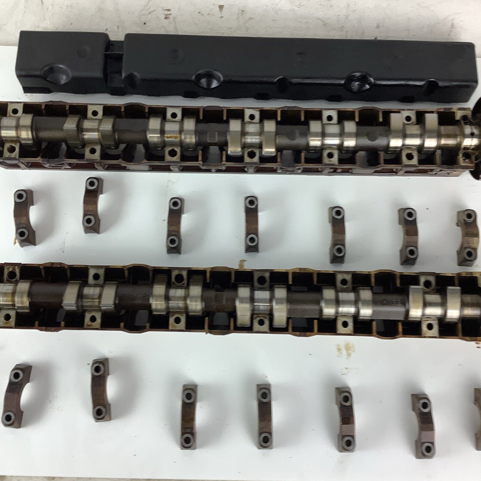 99-06 BMW E46 M52TU Intake & Exhaust Camshafts W/Tray 328i 528i
