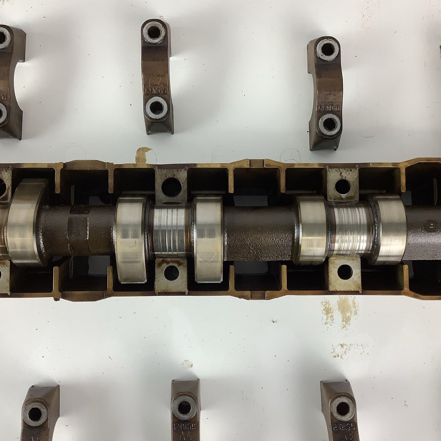 99-06 BMW E46 M52TU Intake & Exhaust Camshafts W/Tray 328i 528i