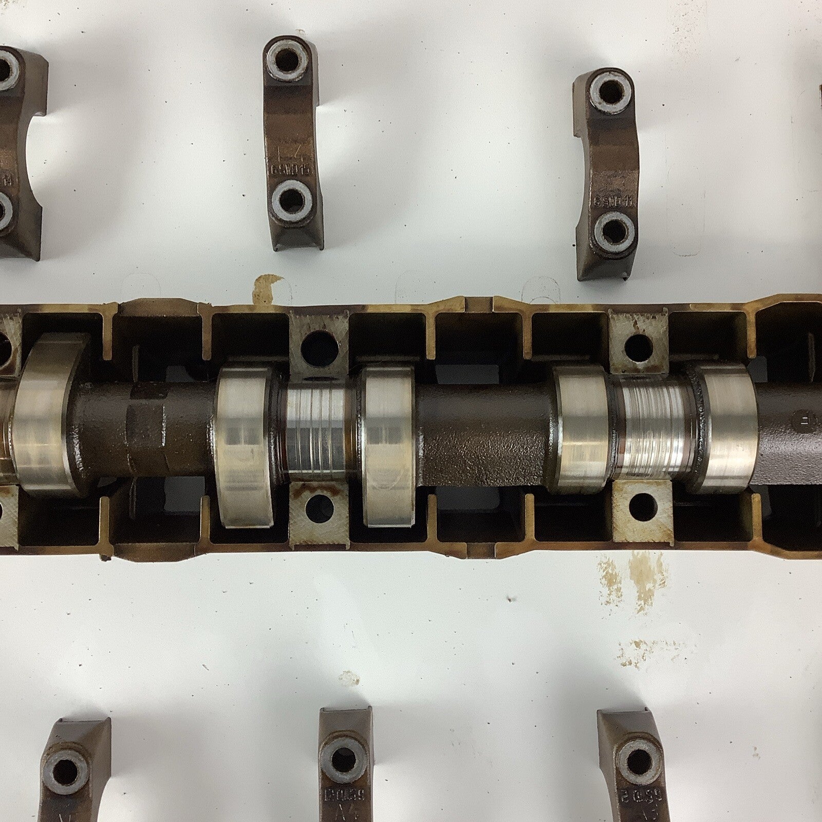 99-06 BMW E46 M52TU Intake & Exhaust Camshafts W/Tray 328i 528i