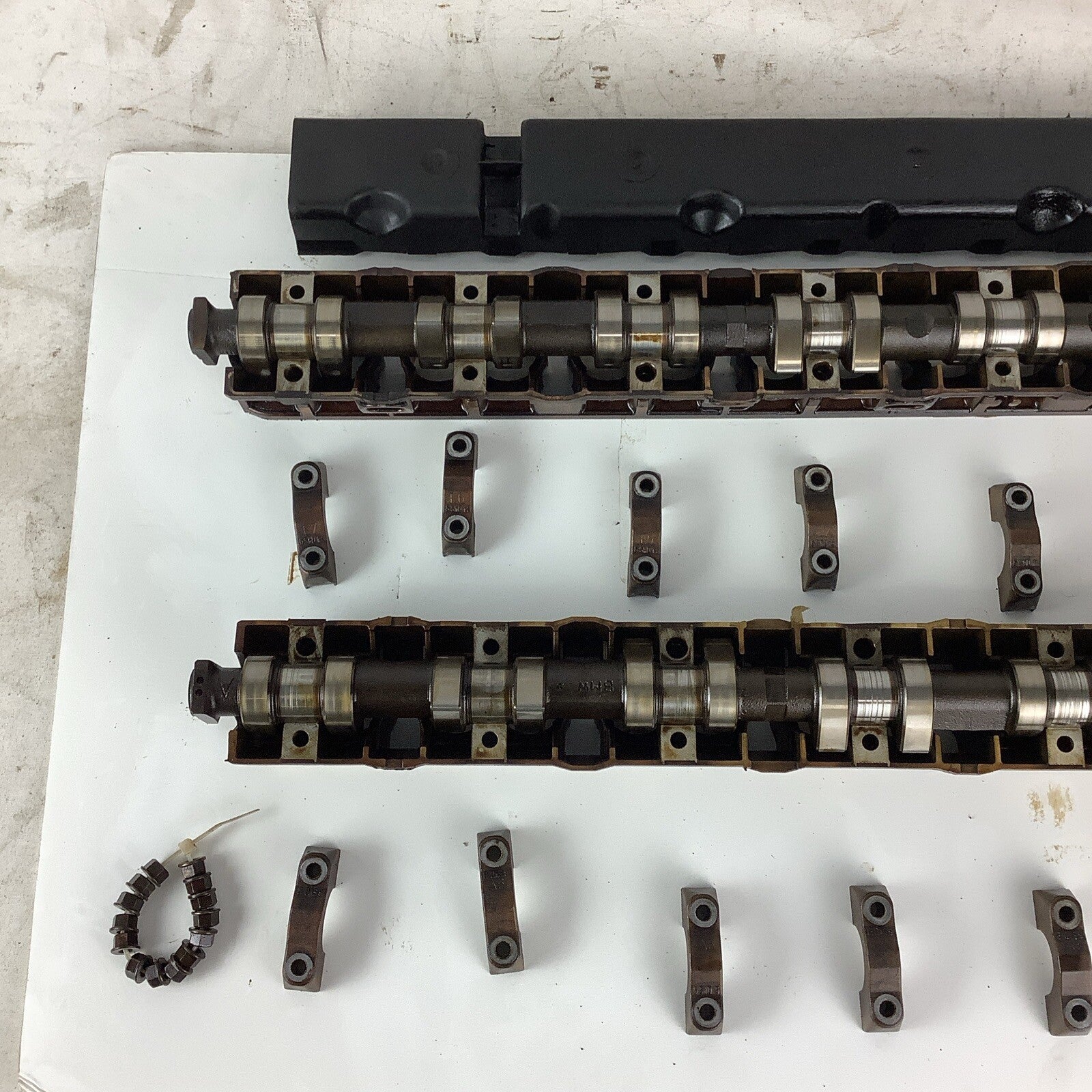 99-06 BMW E46 M52TU Intake & Exhaust Camshafts W/Tray 328i 528i